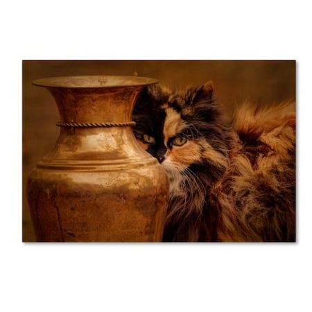 Jai Johnson 'Behind The Antique Vase' Canvas Art,22x32